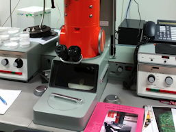 Foto eines Elektronenmikroskops, 18 k