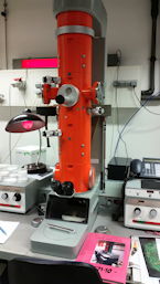 Foto eines Elektronenmikroskops, 16 k