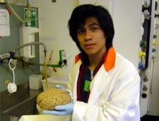 Stipendiat mit präpariertem Gehirn, 9k