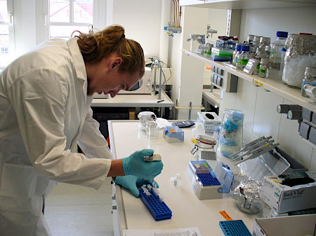 Pipettieren von aufgereinigten DNA-Proben im deutschen Institut für Ernährungsforschung, 37 k