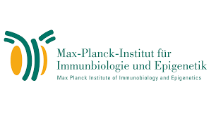 Logo des Max-Planck-Instituts für Immunbiologie und Epigenetik, 4k