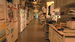 Das Labor, 13 k