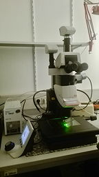 Fluoreszenzmikroskop, 9 k