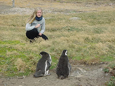 Foto vom Besuch in der Pinguin-Kolonie bei Punta Arenas, 41 k