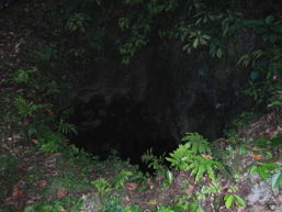 Öffnung der Fledermaushöhle, 12 k