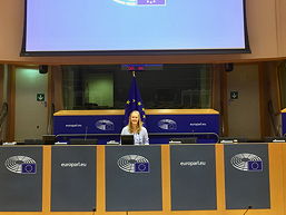 Im Europaparlament, 12 k